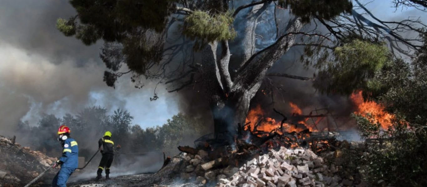 Εύβοια: Εκτός ελέγχου η φωτιά στην Κάρυστο - Εκκενώθηκε οικισμός (βίντεο) (upd)